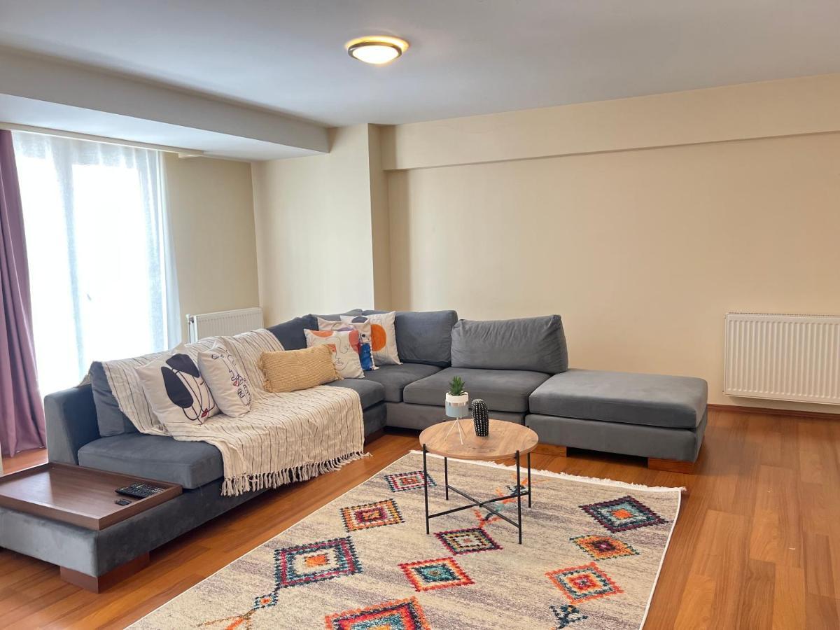 New Studio Apartment, 1br Daire *